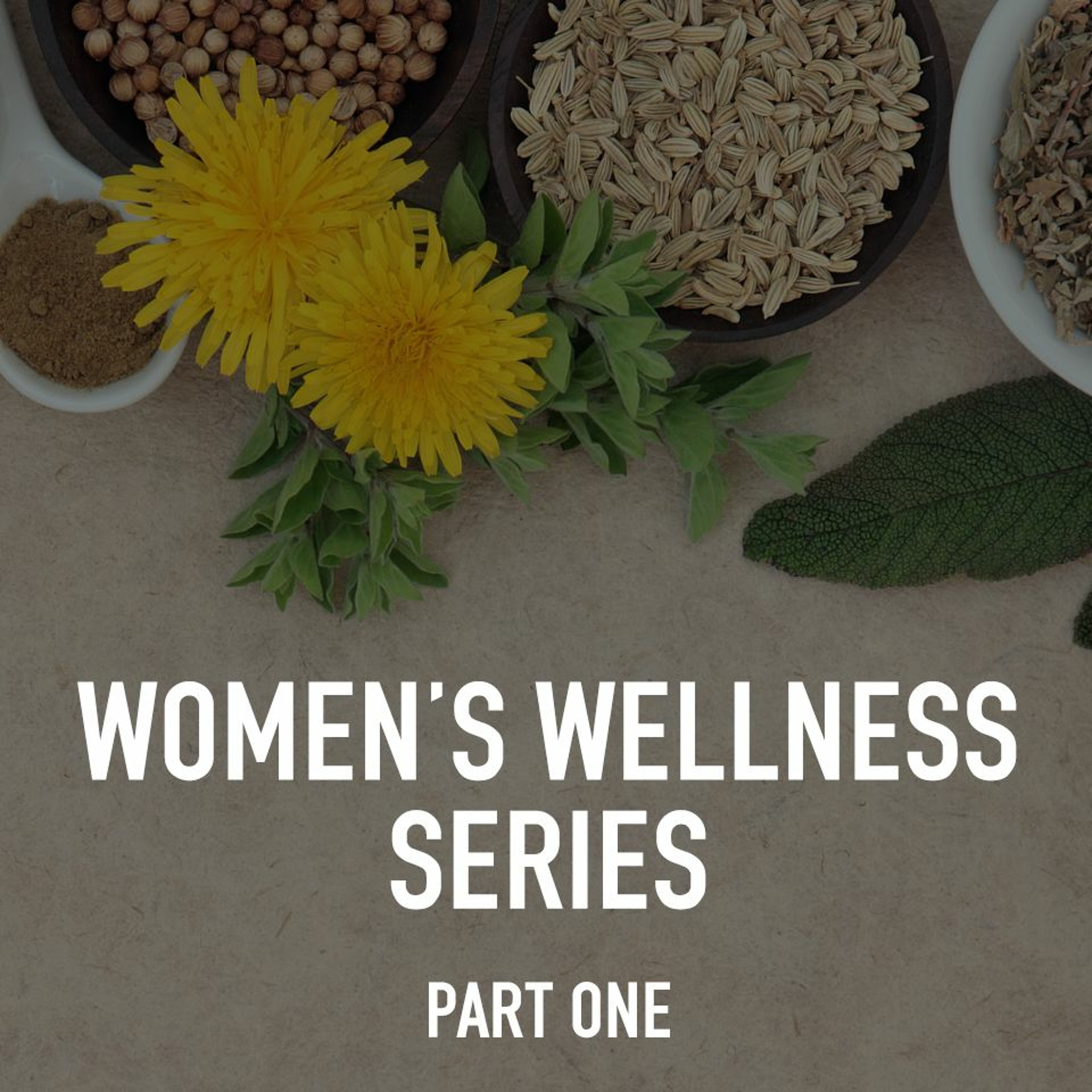 Women's Wellness Series, Part One with Coaches Melissa and Jess