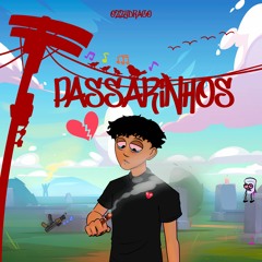 Passarinhos (VIZUALIZER NO YOUTUBE)