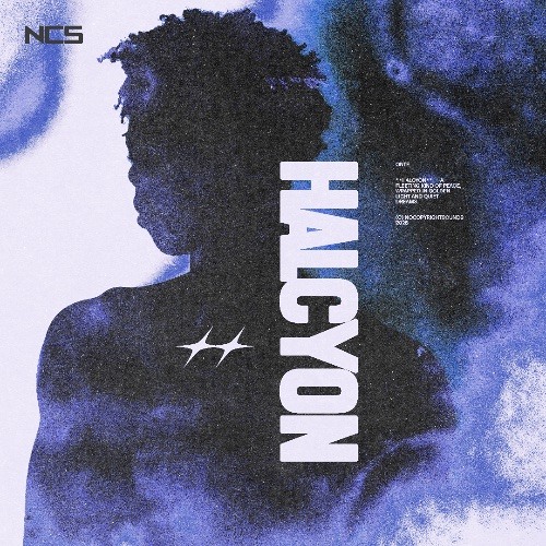 onte - halcyon [NCS Release]