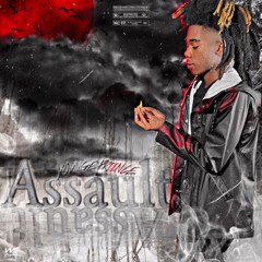 yovnge priince - Assault (Official Audio)