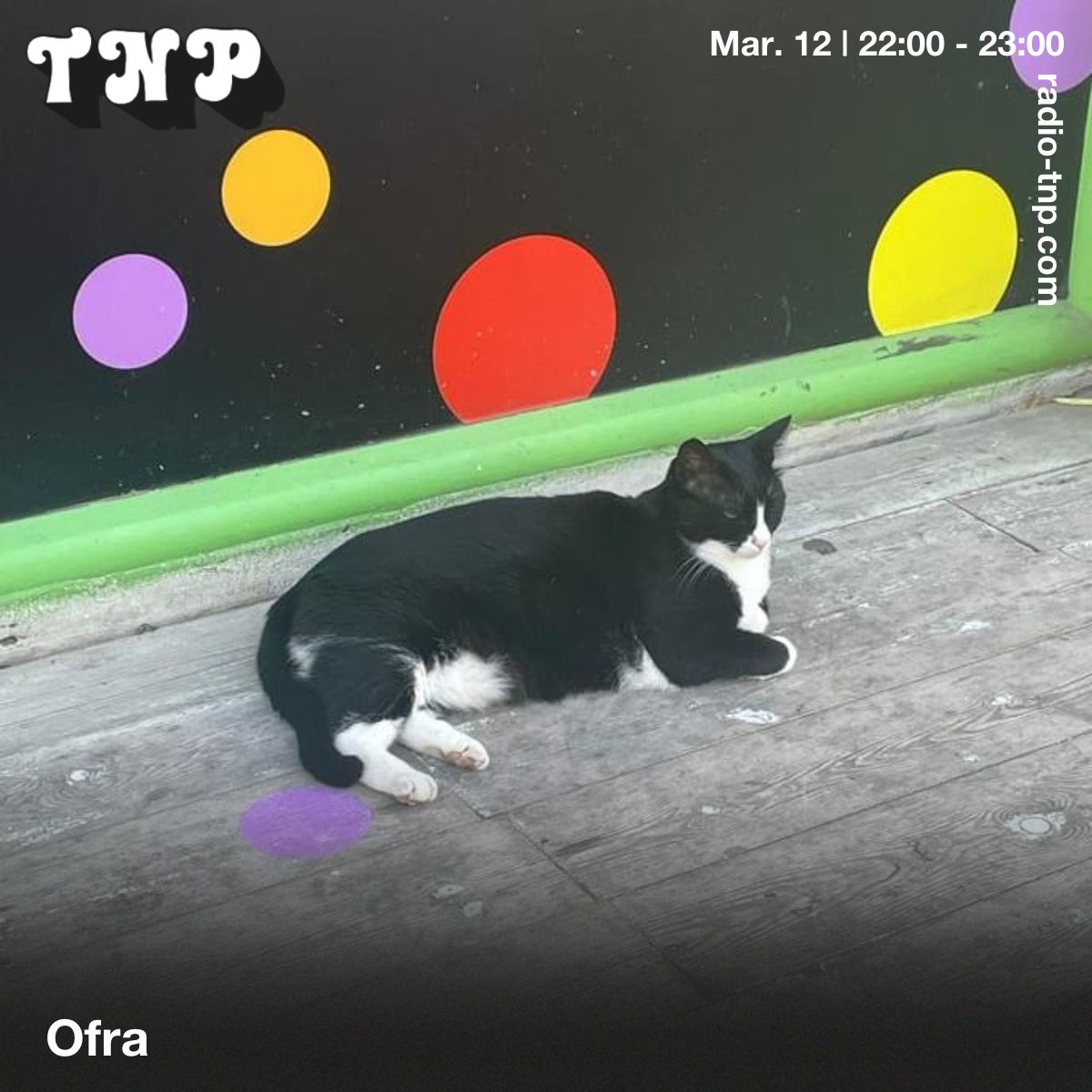 Ofra