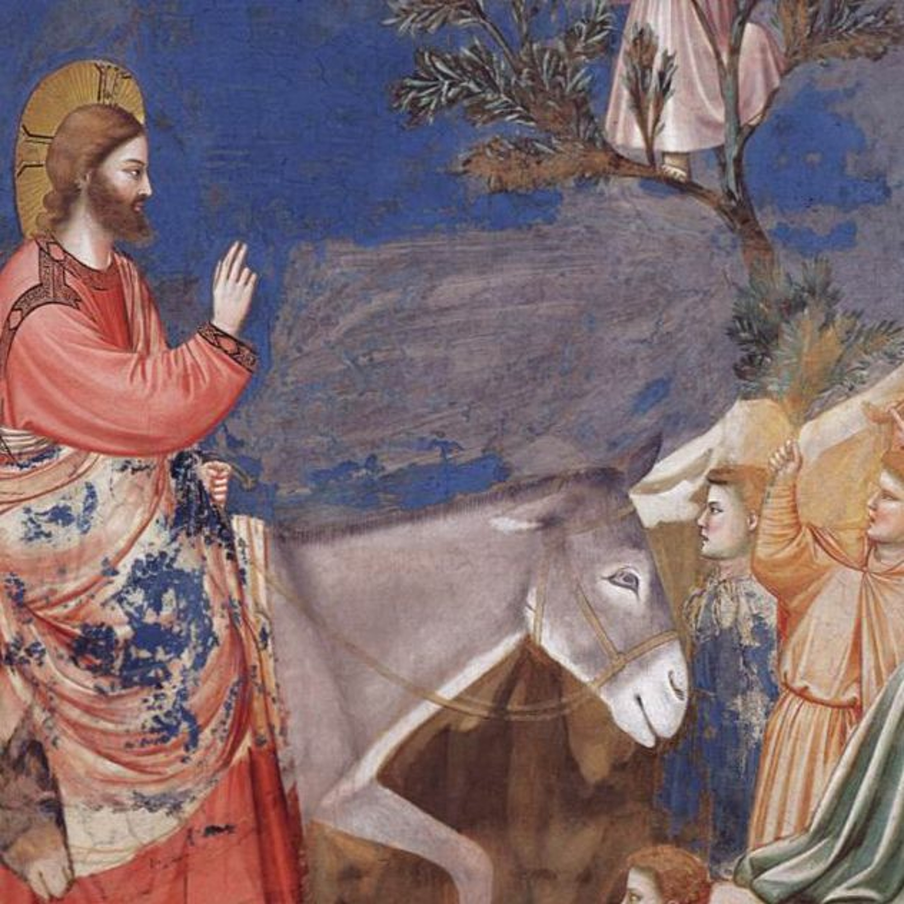 "What Kind of World Do We Want? Paradoxes of Palm Sunday" - Homily - Palm Sunday episode artwork