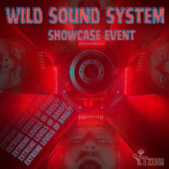Tzusi's Wild Sound System Showcase Set