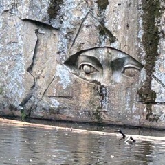 DSMa08_0001_2-MIX_01