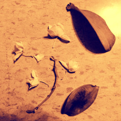 04.05.2025-2:20pm