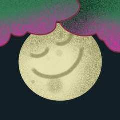 Cosyphos Sommercamp 2022 - PREVIEW