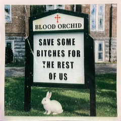 Save Some Bitches For The Rest Of Us