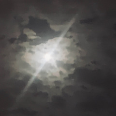 Boasted [Prod. Tgwog Jahski01 Luckeyknows]