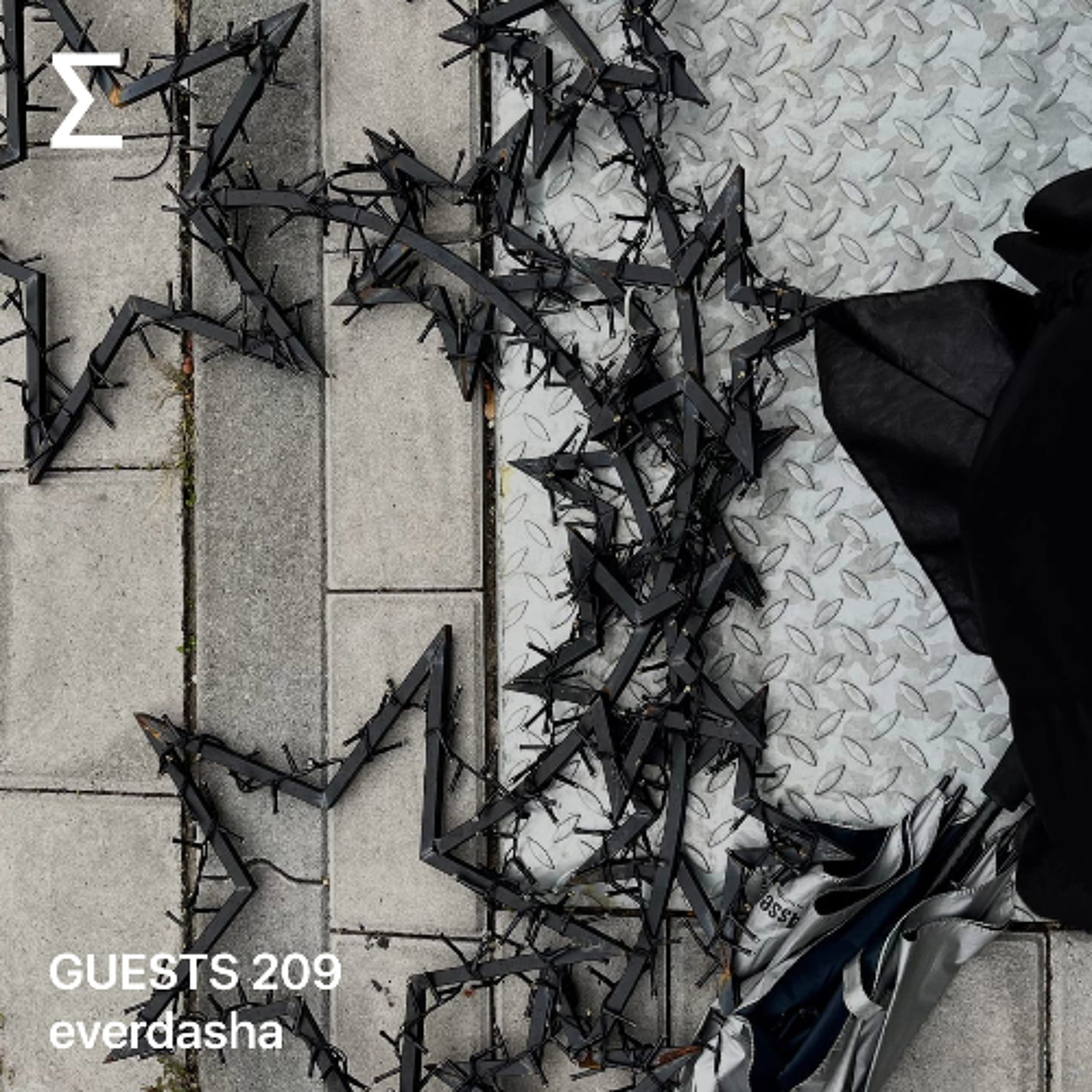 GUESTS 209 – everdasha