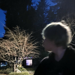 Faces (prod. Kaizenx)