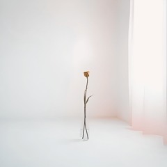 Believe me - Extended Version