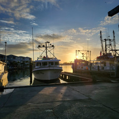 Party Feed - The Ocean