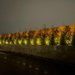Dukkha