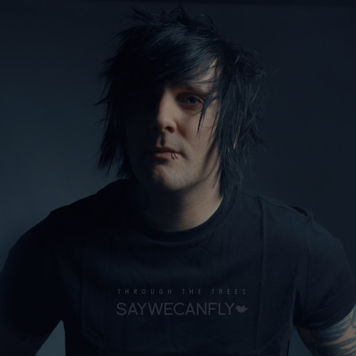 saywecanfly playlist