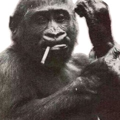 curtains prod(anyproblems)