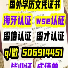 海牙认证 毕业证 成绩单 学位证 Q/微：506914451留信认证官网可查  diploma degree transcript ielts  WSE ID offer