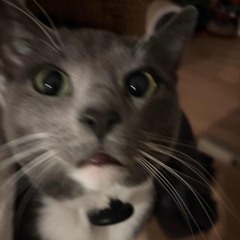 As summer calls p. Great skies