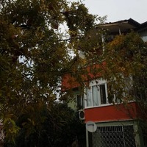 وشاية - نزار قباني