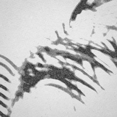 mudd •, -    • )