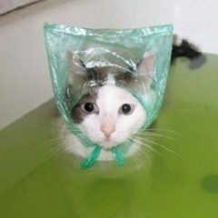 Like u know... BDBBDBBSSBSBSBS