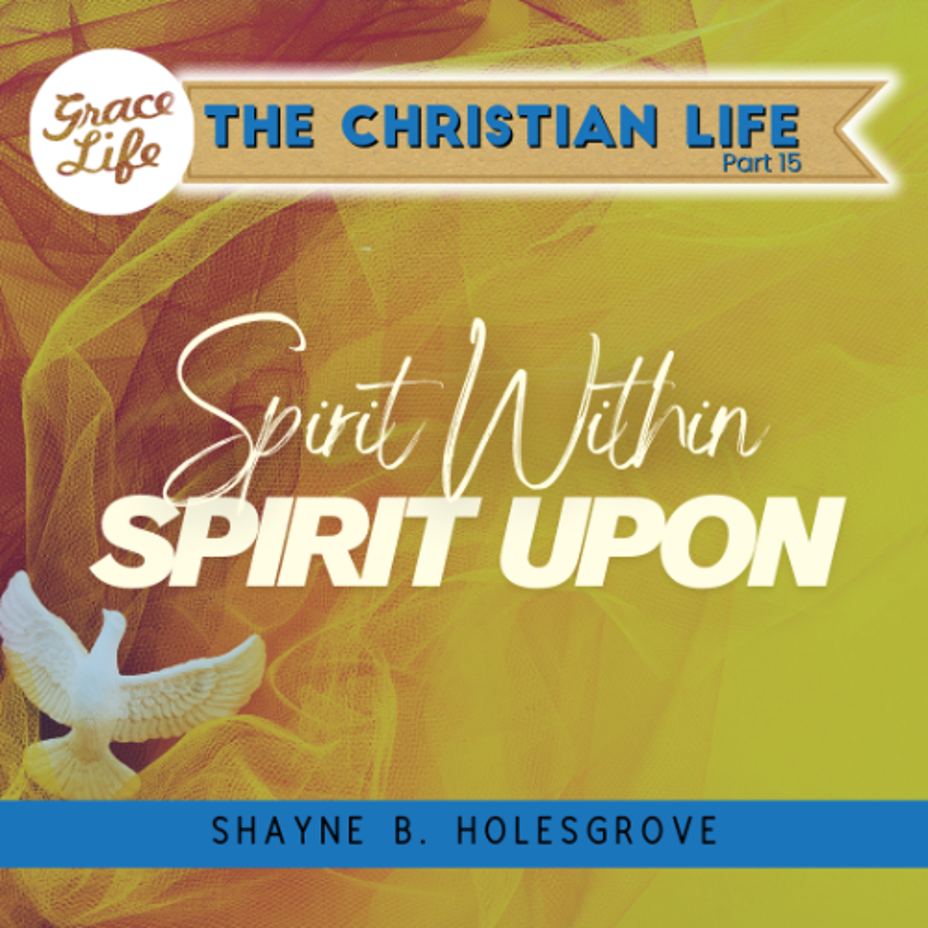 The Christian Life - Part 15 - Spirit within, Spirit Upon - Shayne Holesgrove (Rondebosch) episode artwork