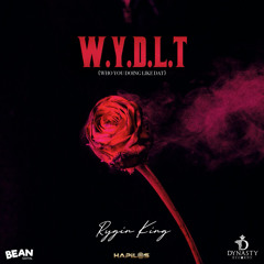 W.Y.D.L.T (Who You Doing Like That)