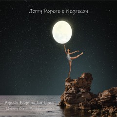 Jerry Ropero x Negrocan - Aquela Esquina La Luna (Johnny Ocean MashUp Remix)