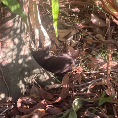 ♥*♡∞:｡.｡8|｡.｡:∞♡*♥