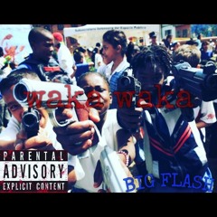 BIG FLASH-WAKA FLACKA freestyle