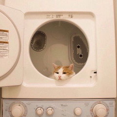 TÌNH CA DÀNH TUỔI NIÊN THIẾU (TUỔI TEEN) - AY DƯƠNG LÃO TAM (零几年听的情歌)