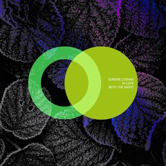 PREMIERE: Sundrej Zohar - In Love With The Night (Original Mix) [Area Verde]