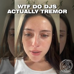 Madeline Argy - WTF Do DJs Actually Do VS Tremor (Josh Le Tissier VIRAL Edit)