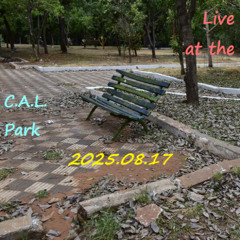 Pianolin (Live)