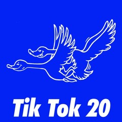 TikTok Music 2020 - Best Tik Tok Songs & TikTok Hits