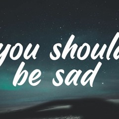 Robin Kluger - You Should Be Sad