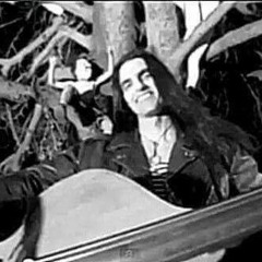 type o negative