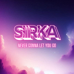 Never Gonna Let You Go