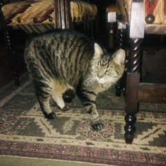 (2) SC_221023_162013