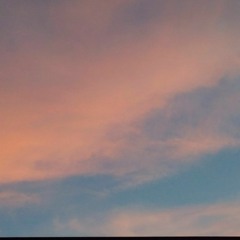 鳥籠（イントロカット版）