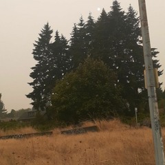 VAMPIRE OF BRITISH COLUMBIA