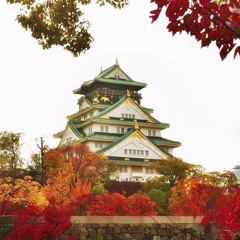 N5-だい16か (ことば).mp3