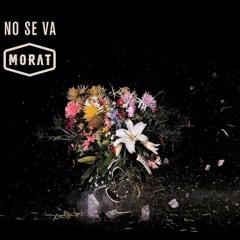 No se va & Knock You Out - Hardwell & Morat (Kheane DJ Mashup)