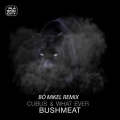 BO MIKEL - Bushmeat Remix Cubus & What Ever