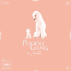 Poodle Gang #06