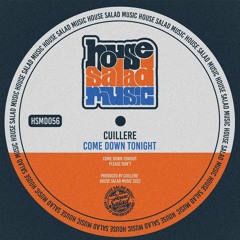 HSMD056 Cuillere - Come Down Tonight [House Salad Music]