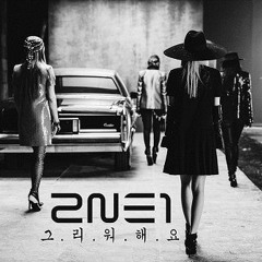 2NE1 - Missing You (그리워해요) | cover by Maejji21