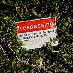 Renaissonic Radio 9/16/2025