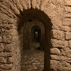 The boy never destined to be king