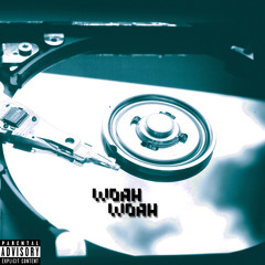 WHOA WHOA (ft. FatboyFlacko & Blindo)