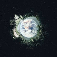 Nature of Life on Earth